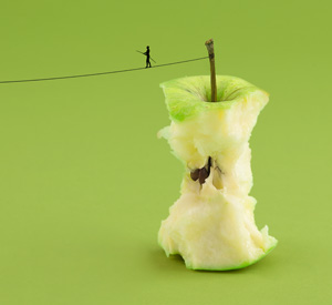 Festival novog cirkusa