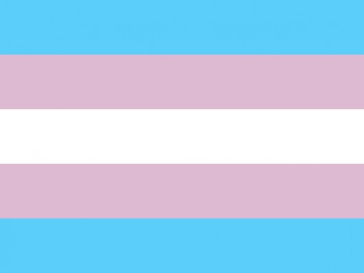 Poziv za trans i rodno varijantne osobe