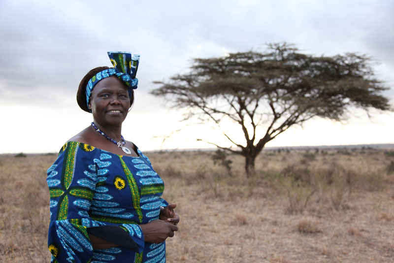 In memoriam: Wangari Muta Maathai